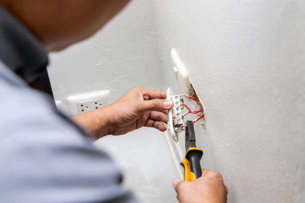 Best Ceiling Fan Installation Electrician  in Punaluu, HI